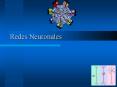 Redes Neuronales PowerPoint PPT Presentation
