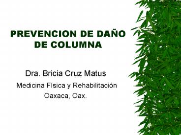 PREVENCION DE DAO DE COLUMNA