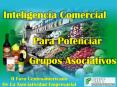 Inteligencia Comercial PowerPoint PPT Presentation