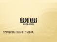 PARQUES INDUSTRIALES PowerPoint PPT Presentation