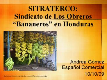 SITRATERCO: Sindicato de Los Obreros Bananeros en Honduras