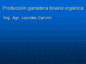 Produccin ganadera bovina orgnica