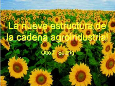 La nueva estructura de la cadena agroindustrial