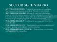 SECTOR SECUNDARIO PowerPoint PPT Presentation