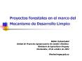 Proyectos forestales en el marco del Mecanismo de Desarrollo Limpio: PowerPoint PPT Presentation