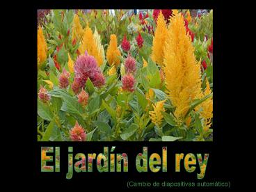 El jardn del rey
