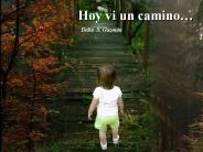 Hoy vi un camino