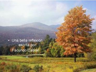 Una bella reflexin escrita por