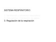 Diapositiva 1