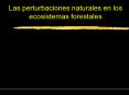 Las perturbaciones naturales en los ecosistemas forestales PowerPoint PPT Presentation