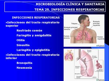 Presentacin de PowerPoint