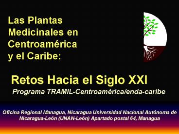 Las Plantas Medicinales en Centroamrica y el Caribe: