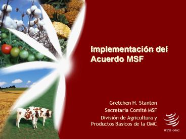 Implementacin del Acuerdo MSF