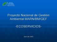 Proyecto Nacional de Gesti