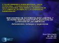2 TALLER HEMISFERICO SOBRE SEGURIDAD Y SALUD OCUPACIONAL: LOS DESAFIOS DE LA SEGURIDAD Y SALUD OCUPA PowerPoint PPT Presentation