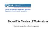 Beowulf Vs Clusters of Workstations