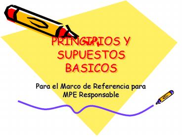 PRINCIPIOS Y SUPUESTOS BASICOS