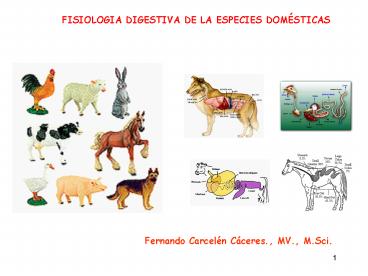 FISIOLOGIA DIGESTIVA DE LA ESPECIES DOMSTICAS