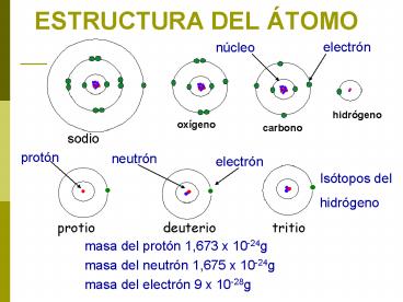 ESTRUCTURA DEL TOMO