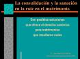 La convalidacin y la sanacin en la raz en el matrimonio PowerPoint PPT Presentation