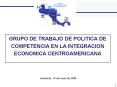 GRUPO DE TRABAJO DE POLITICA DE COMPETENCIA EN LA INTEGRACION ECONOMICA CENTROAMERICANA PowerPoint PPT Presentation