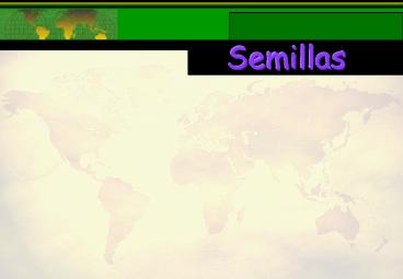 Semillas