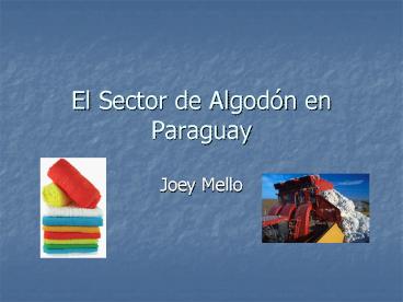 El Sector de Algodn en Paraguay