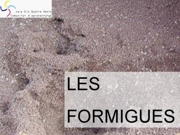 Presentacin de PowerPoint