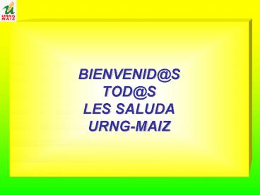 BIENVENIDS TODS LES SALUDA URNGMAIZ