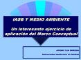 IASB Y MEDIO AMBIENTE Un interesante ejercicio de aplicacin del Marco Conceptual PowerPoint PPT Presentation