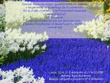 Adviento 2 domingo C