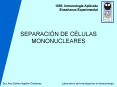 SEPARACIN DE CLULAS MONONUCLEARES PowerPoint PPT Presentation