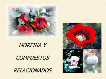 Sin ttulo de diapositiva