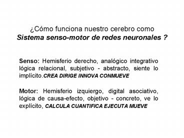 Cmo funciona nuestro cerebro como Sistema sensomotor de redes neuronales