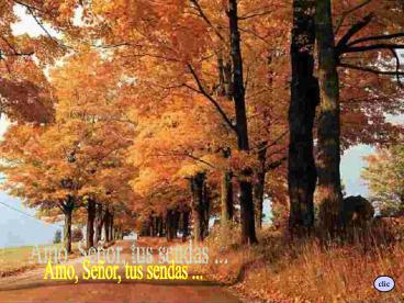 Amo, Seor, tus sendas