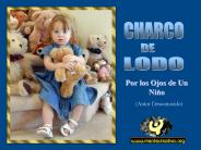 Charco de lodo