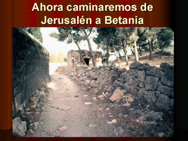 Ahora caminaremos de Jerusaln a Betania