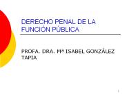 DERECHO PENAL DE LA FUNCI