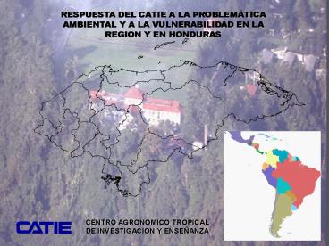 MISION DEL CATIE