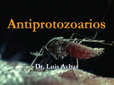 Antiprotozoarios