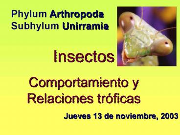 Jueves 13 de noviembre, 2003