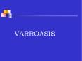 VARROASIS PowerPoint PPT Presentation