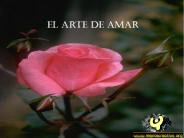 Aprender a Amar