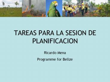 TAREAS PARA LA SESION DE PLANIFICACION