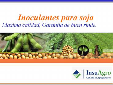 Presentacin de PowerPoint