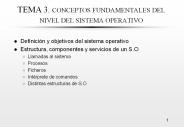 TEMA 3. CONCEPTOS FUNDAMENTALES DEL NIVEL DEL SISTEMA OPERATIVO
