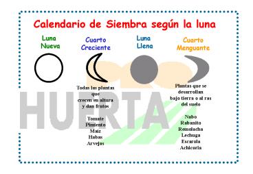 Sin ttulo de diapositiva