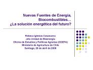 Nuevas Fuentes de Energ