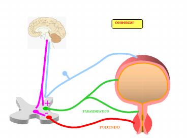 Presentacin de PowerPoint