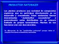 PRODUCTOS NATURALES PowerPoint PPT Presentation